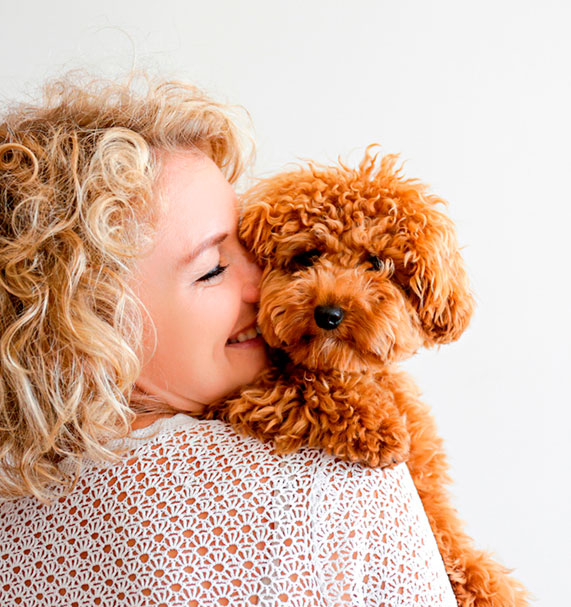 Small dog in grooming service